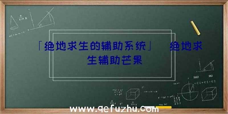 「绝地求生的辅助系统」|绝地求生辅助芒果
